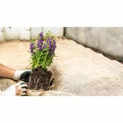 Vigoro 3 ft. x 24 ft. 100% Natural Burlap Landscape Fabric 21 Vigoro 3 ft. x 24 ft. 100% Natural Burlap Landscape Fabric -Vigoro Shop vigoro landscape fabric nmvb0324 c3 1000