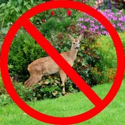 Vigoro 7 ft. x 100 ft. Polypropylene Deer Block Netting Barrier, UV Treated 15 Vigoro 7 ft. x 100 ft. Polypropylene Deer Block Netting Barrier, UV Treated -Vigoro Shop vigoro landscape fabric nmvdb07100h 77 1000