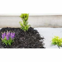 Vigoro 4 ft. x 50 ft. Matrix Grid Landscape Fabric -Vigoro Shop vigoro landscape fabric vpnm45085 31 1000