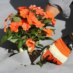 Vigoro 4 ft. x 50 ft. Matrix Grid Heavy-Duty Landscape Fabric (4-Pack) -Vigoro Shop vigoro landscape fabric vpnm45085 4pk 66 1000