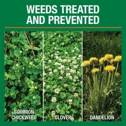 Vigoro 14.6 lbs. 5,000 sq. ft. Weed and Feed Weed Killer Plus Lawn Fertilizer -Vigoro Shop vigoro lawn fertilizers 52210 c3 1000