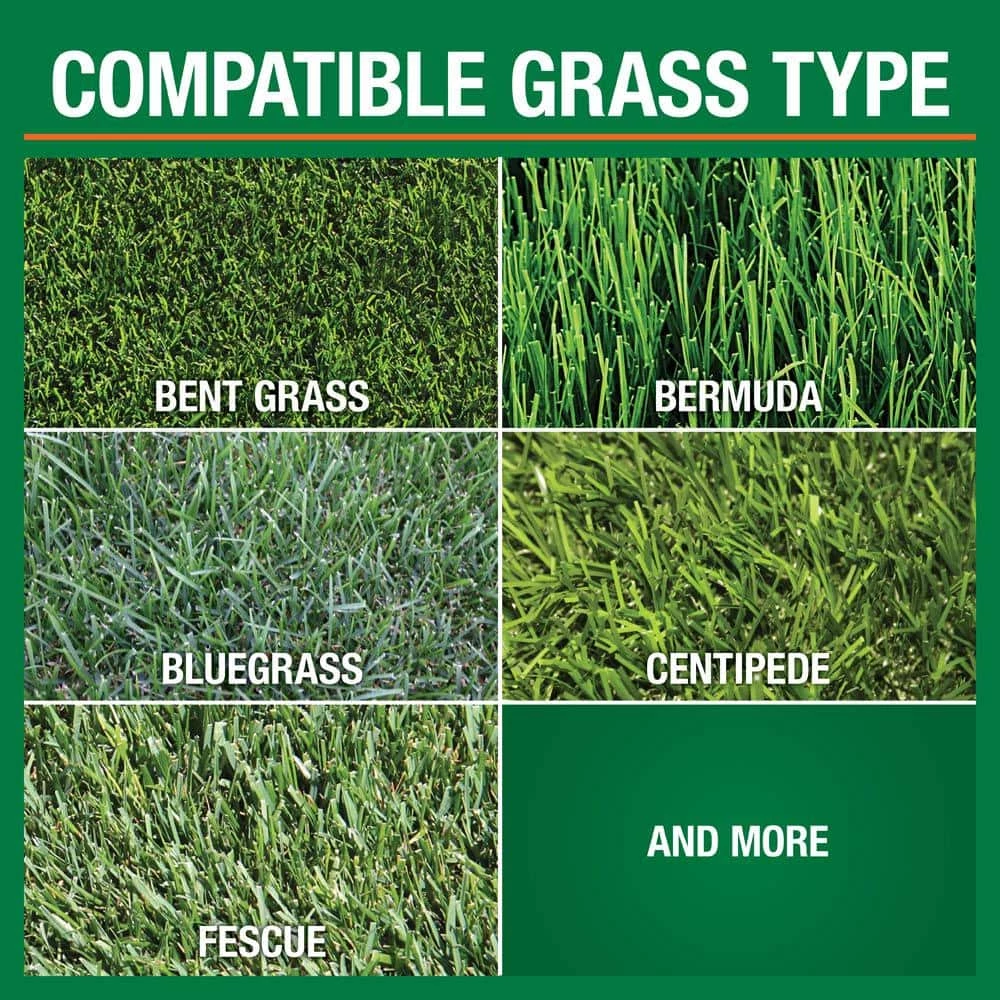 Vigoro 32 oz. 7,500 sq. ft. Spring Ready-to-Spray Concentrate Weed and Feed Lawn Fertilizer 11 Vigoro 32 oz. 7,500 sq. ft. Spring Ready-to-Spray Concentrate Weed and Feed Lawn Fertilizer - Image 9