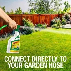 Vigoro 32 oz. 7,500 sq. ft. Spring Ready-to-Spray Concentrate Weed and Feed Lawn Fertilizer 29 Vigoro 32 oz. 7,500 sq. ft. Spring Ready-to-Spray Concentrate Weed and Feed Lawn Fertilizer -Vigoro Shop vigoro lawn fertilizers hg 52511 2 76 1000