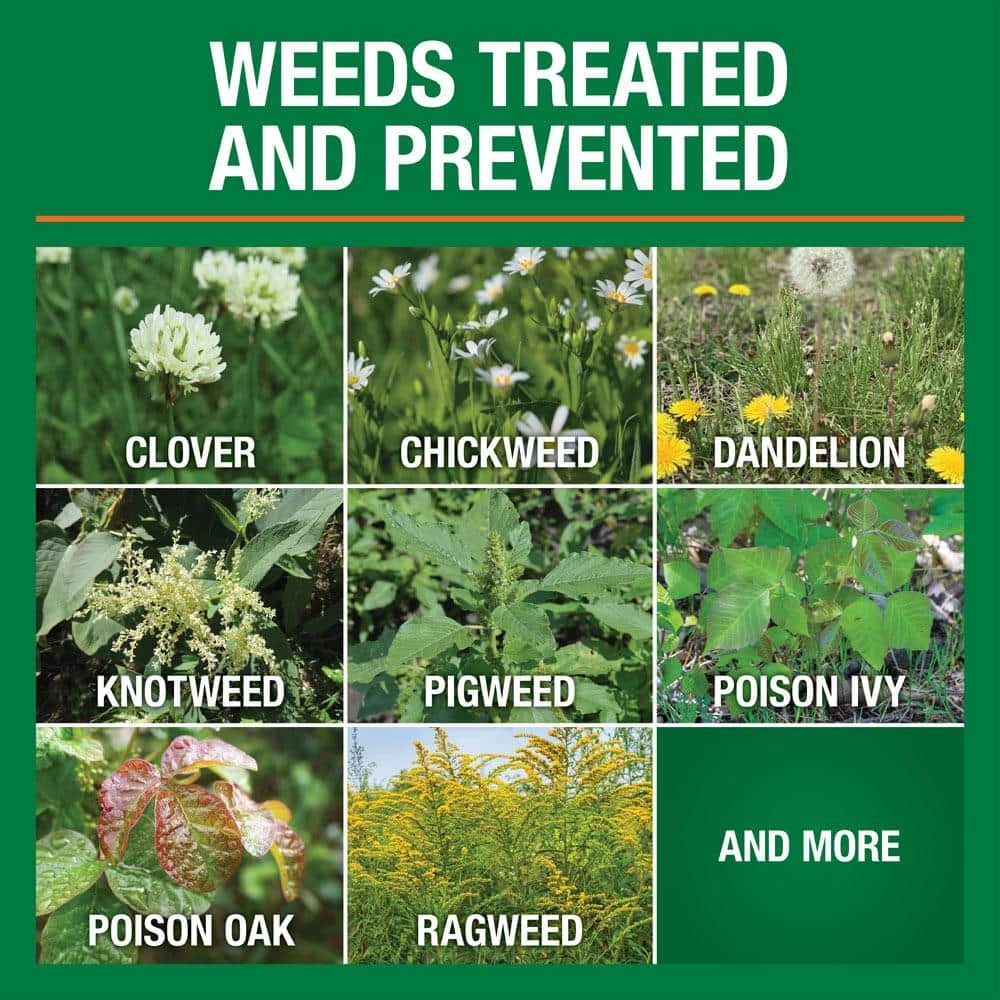 Vigoro 32 oz. 7,500 sq. ft. Spring Ready-to-Spray Concentrate Weed and Feed Lawn Fertilizer 10 Vigoro 32 oz. 7,500 sq. ft. Spring Ready-to-Spray Concentrate Weed and Feed Lawn Fertilizer - Image 8