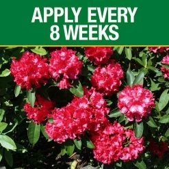 Vigoro 3.5 lb. All Season Azalea Camellia and Rhododendron Plant Food (10-8-8) -Vigoro Shop vigoro plant food fertilizer 124248 1f 1000