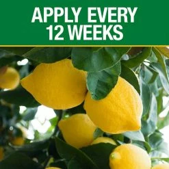 Vigoro 4.2 lb. All Season Fruit, Nut and Citrus Fertilizer Spikes (16-4-8) (15-Count) -Vigoro Shop vigoro plant food fertilizer 154306 1f 1000