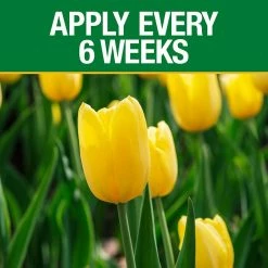 Vigoro 3.5 lb. All Season Bulb Fuel Plant Food (9-9-6) -Vigoro Shop vigoro plant food fertilizer 156269 1f 1000