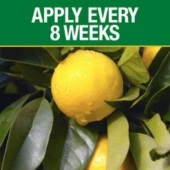 Vigoro 20 lbs. All Season Citrus and Avocado Plant Food Dry Fertilizer (6-4-6) -Vigoro Shop vigoro plant food fertilizer 160327 1f 1000