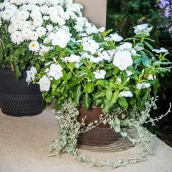 Vigoro 12 in. Plastic Deep Planter Liner -Vigoro Shop vigoro plant liners dl12vg 4f 1000