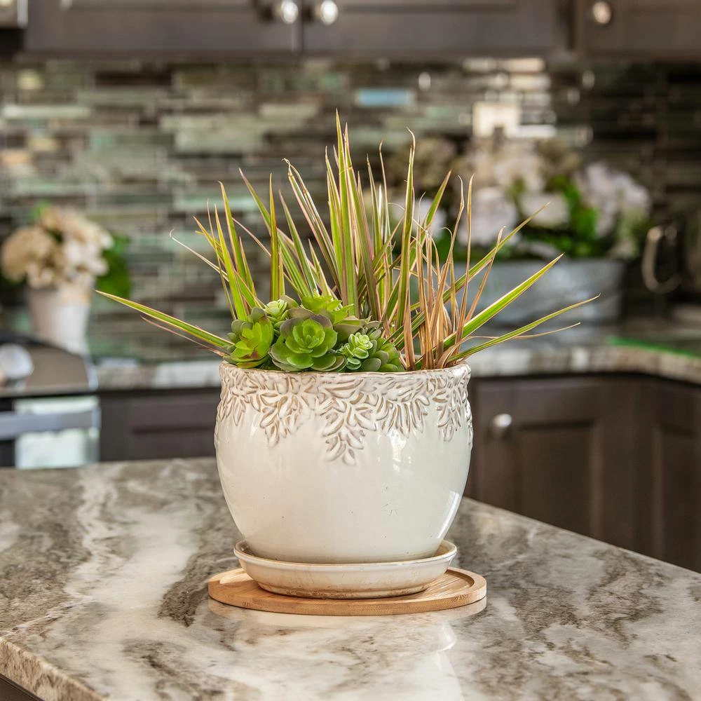 Vigoro 10 in. Bamboo Plant Saucer 6 Vigoro 10 in. Bamboo Plant Saucer - Image 4