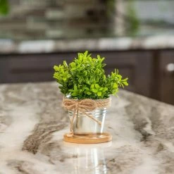 Vigoro 4 in. Bamboo Plant Saucer 11 Vigoro 4 in. Bamboo Plant Saucer -Vigoro Shop vigoro planter saucers bbs4vg 1f 1000