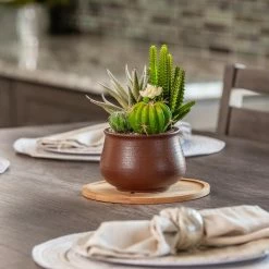 Vigoro 8 in. Bamboo Plant Saucer 12 Vigoro 8 in. Bamboo Plant Saucer -Vigoro Shop vigoro planter saucers bbs8vg 1f 1000