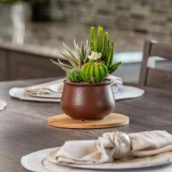 Vigoro 8 in. Bamboo Plant Saucer 13 Vigoro 8 in. Bamboo Plant Saucer -Vigoro Shop vigoro planter saucers bbs8vg 44 1000