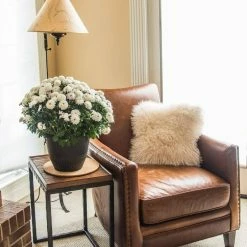 Vigoro 10 in. Cork Mat -Vigoro Shop vigoro planter saucers cm10phbdi 1f 1000