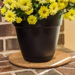Vigoro 10 in. Cork Mat -Vigoro Shop vigoro planter saucers cm10phbdi 44 1000