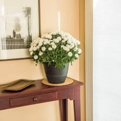 Vigoro 10 in. Cork Mat -Vigoro Shop vigoro planter saucers cm10phbdi 4f 1000