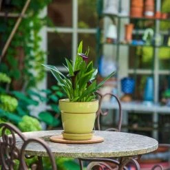 Vigoro 6 in. Cork Mat -Vigoro Shop vigoro planter saucers cm6phbdi fa 1000