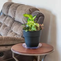 Vigoro 10 in. Heavy Duty Plant Saucer -Vigoro Shop vigoro planter saucers sp10vg 4f 1000