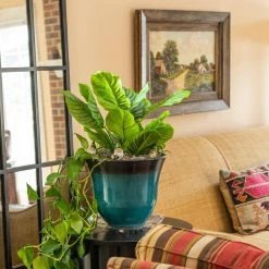 Vigoro 12 in. Heavy Duty Plant Saucer -Vigoro Shop vigoro planter saucers sp12vg 44 1000