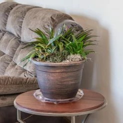 Vigoro 14 in. Heavy Duty Plant Saucer -Vigoro Shop vigoro planter saucers sp14vg 44 1000