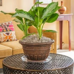 Vigoro 14 in. Heavy Duty Plant Saucer -Vigoro Shop vigoro planter saucers sp14vg 4f 1000