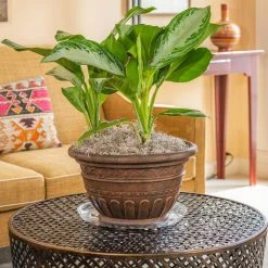 Vigoro 14 in. Heavy Duty Plant Saucer -Vigoro Shop vigoro planter saucers sp14vg fa 1000