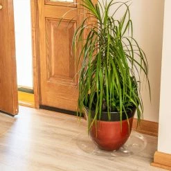 Vigoro 16 in. Heavy Duty Planter Saucer -Vigoro Shop vigoro planter saucers sp16vg 4f 1000