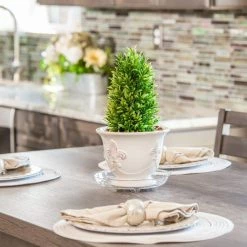 Vigoro 6 in. Heavy Duty Plant Saucer -Vigoro Shop vigoro planter saucers sp6vg 1f 1000