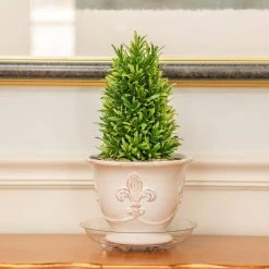 Vigoro 8 in. Heavy Duty Plant Saucer -Vigoro Shop vigoro planter saucers sp8vg 1f 1000