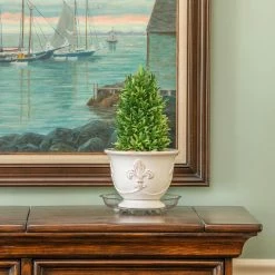 Vigoro 8 in. Heavy Duty Plant Saucer -Vigoro Shop vigoro planter saucers sp8vg 44 1000