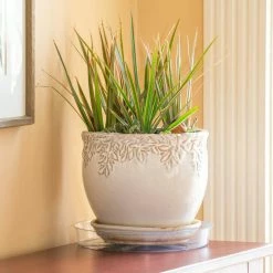 Vigoro 10 in. Plastic Plant Saucer -Vigoro Shop vigoro planter saucers vs10vg fa 1000