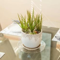 Vigoro 12 in. Plastic Plant Saucer -Vigoro Shop vigoro planter saucers vs12vg 44 1000