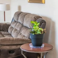 Vigoro 12 in. Plastic Plant Saucer -Vigoro Shop vigoro planter saucers vs12vg 4f 1000