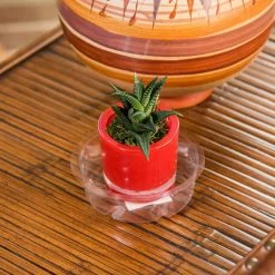 Vigoro 4 in. Plastic Plant Saucer -Vigoro Shop vigoro planter saucers vs4vg 4f 1000