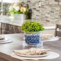 Vigoro 6 in. Plastic Plant Saucer 9 Vigoro 6 in. Plastic Plant Saucer -Vigoro Shop vigoro planter saucers vs6vg 1f 1000