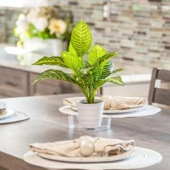 Vigoro 6 in. Plastic Plant Saucer 8 Vigoro 6 in. Plastic Plant Saucer -Vigoro Shop vigoro planter saucers vs6vg 4f 1000