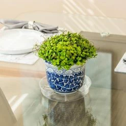 Vigoro 8 in. Plastic Plant Saucer -Vigoro Shop vigoro planter saucers vs8vg 4f 1000