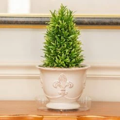 Vigoro 8 in. Plastic Plant Saucer -Vigoro Shop vigoro planter saucers vs8vg fa 1000