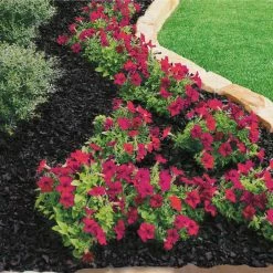 Vigoro 37.5 cu. ft. Black Recycled Rubber Mulch (25 Bags) -Vigoro Shop vigoro rubber mulch gn15bk25 c3 1000