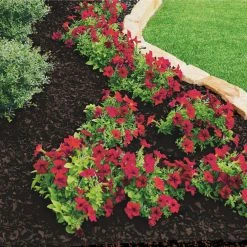 Vigoro 37.5 cu. ft. Brown Recycled Rubber Mulch (25 Bags) -Vigoro Shop vigoro rubber mulch gn15bn25 c3 1000