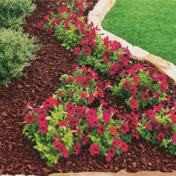 Vigoro 37.5 cu. ft. Red Recycled Rubber Mulch (25 Bags) -Vigoro Shop vigoro rubber mulch gn15rd25 c3 1000