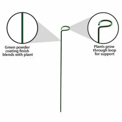 Vigoro 18 in. H x 1.50 in. W Steel Plant Prop -Vigoro Shop vigoro tomato cages 611872 hd 1f 1000