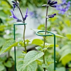 Vigoro 18 in. H x 1.50 in. W Steel Plant Prop -Vigoro Shop vigoro tomato cages 611872 hd 44 1000