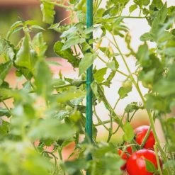 Vigoro 3 ft. Green Colored Steel Core Garden Stake -Vigoro Shop vigoro tomato cages st3vg c3 1000