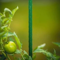 Vigoro 5 ft. Green Colored Steel Core Garden Stake -Vigoro Shop vigoro tomato cages st5vg 66 1000