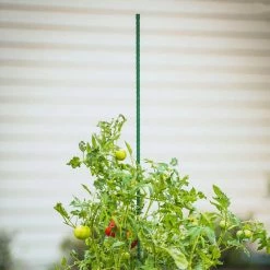 Vigoro 6 ft. Green Colored Steel Core Garden Stake -Vigoro Shop vigoro tomato cages st6vg 66 1000