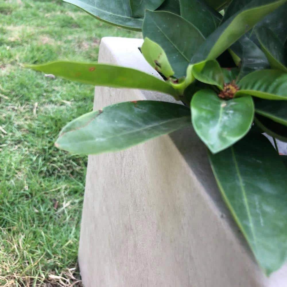 KANTE 31 in. L Rectangular Weathered Concrete/Fiberglass Indoor Outdoor Elegant Planter 4 KANTE 31 in. L Rectangular Weathered Concrete/Fiberglass Indoor Outdoor Elegant Planter - Image 2