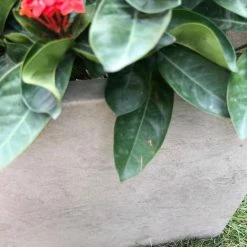 KANTE 31 in. L Rectangular Weathered Concrete/Fiberglass Indoor Outdoor Elegant Planter 19 KANTE 31 in. L Rectangular Weathered Concrete/Fiberglass Indoor Outdoor Elegant Planter -Vigoro Shop weathered concrete kante plant pots osf0104b c80021 2 fa 1000