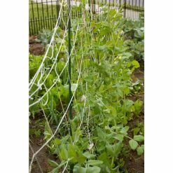 Vigoro 5 ft. x 8 ft. Sturdy Garden Trellis 14 Vigoro 5 ft. x 8 ft. Sturdy Garden Trellis -Vigoro Shop white vigoro tomato cages t008avg 44 1000