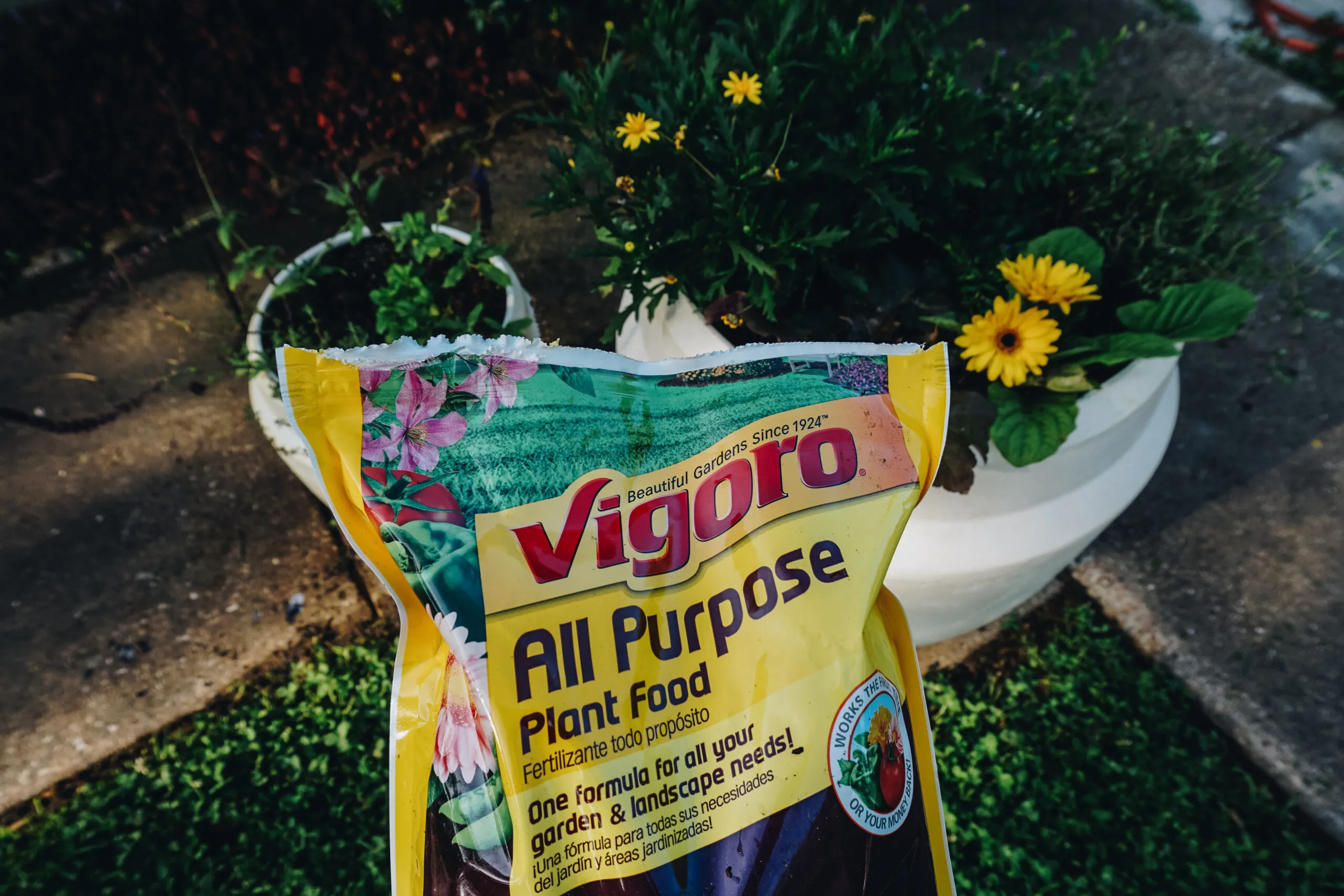 Vigoro Shop -Vigoro Shop Old World New Vigoro 4 scaled 1